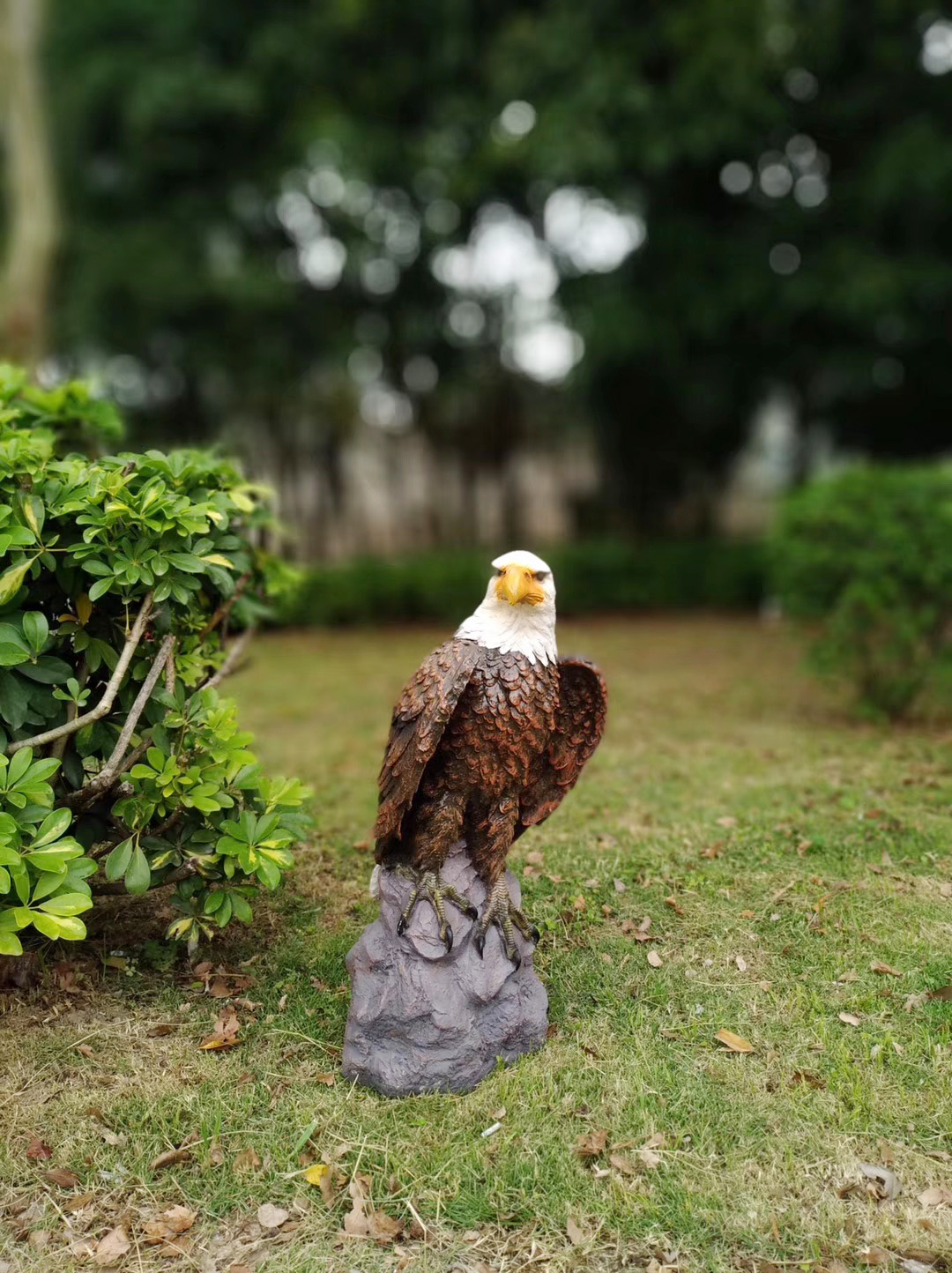 鷹 燈   價(jià)格